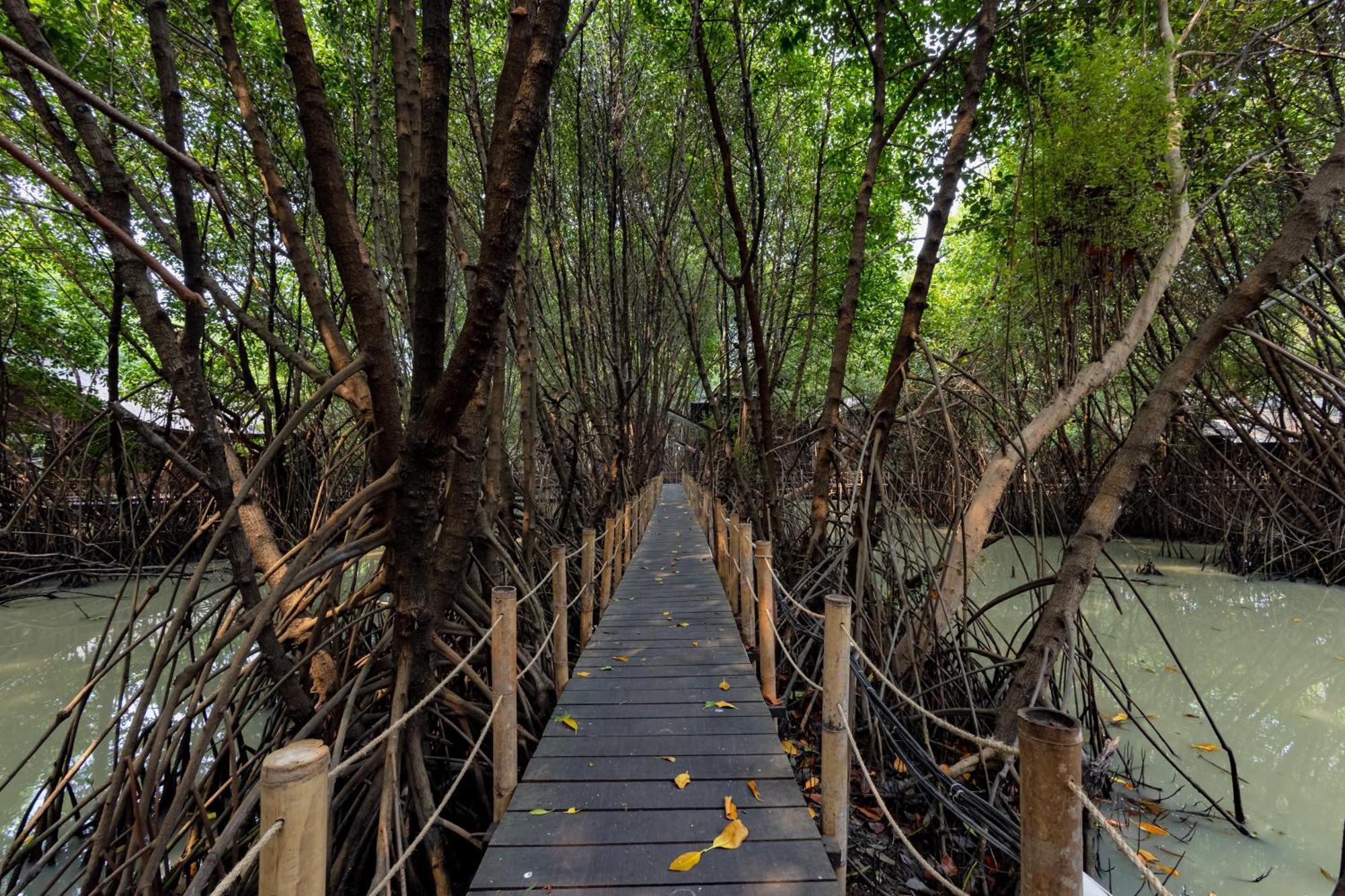 Reddoorz Resort @ Taman Wisata Mangrove Jacarta Exterior foto
