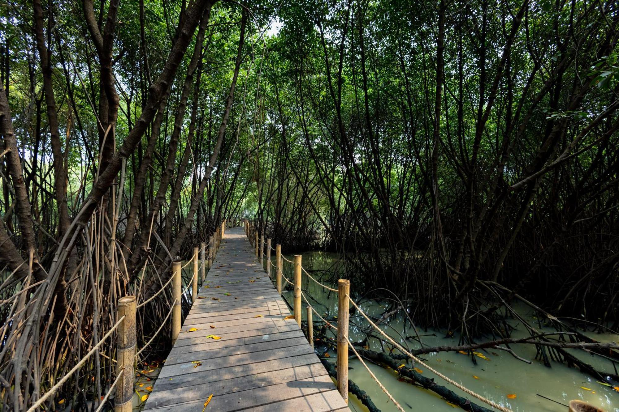 Reddoorz Resort @ Taman Wisata Mangrove Jacarta Exterior foto